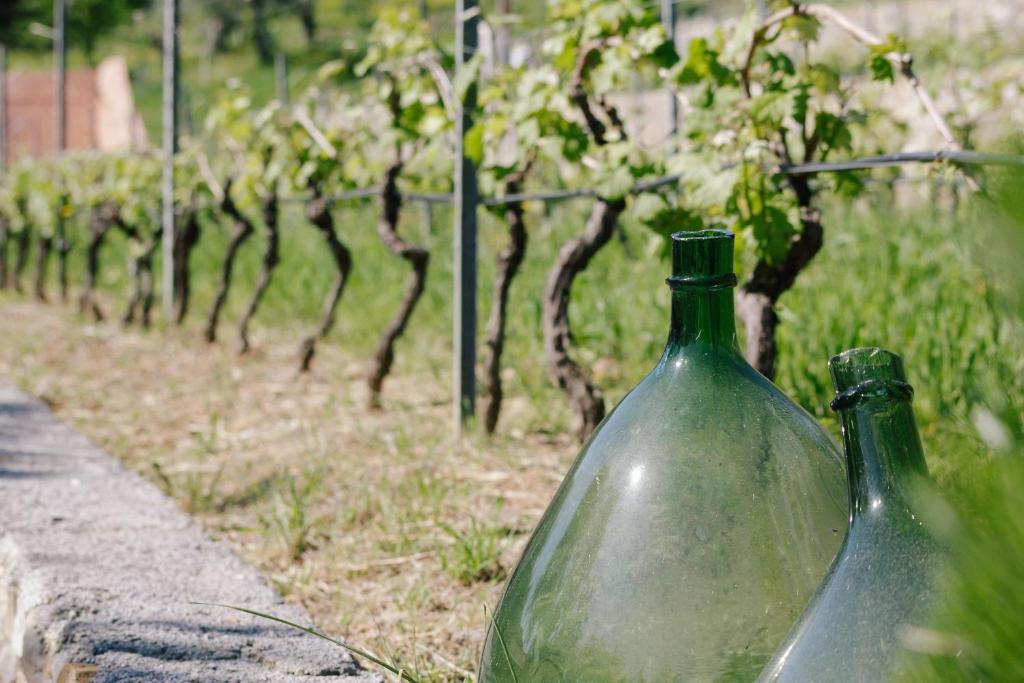 Vonkajšia záhrada v ubytovaní Agriturismo Valcrosa