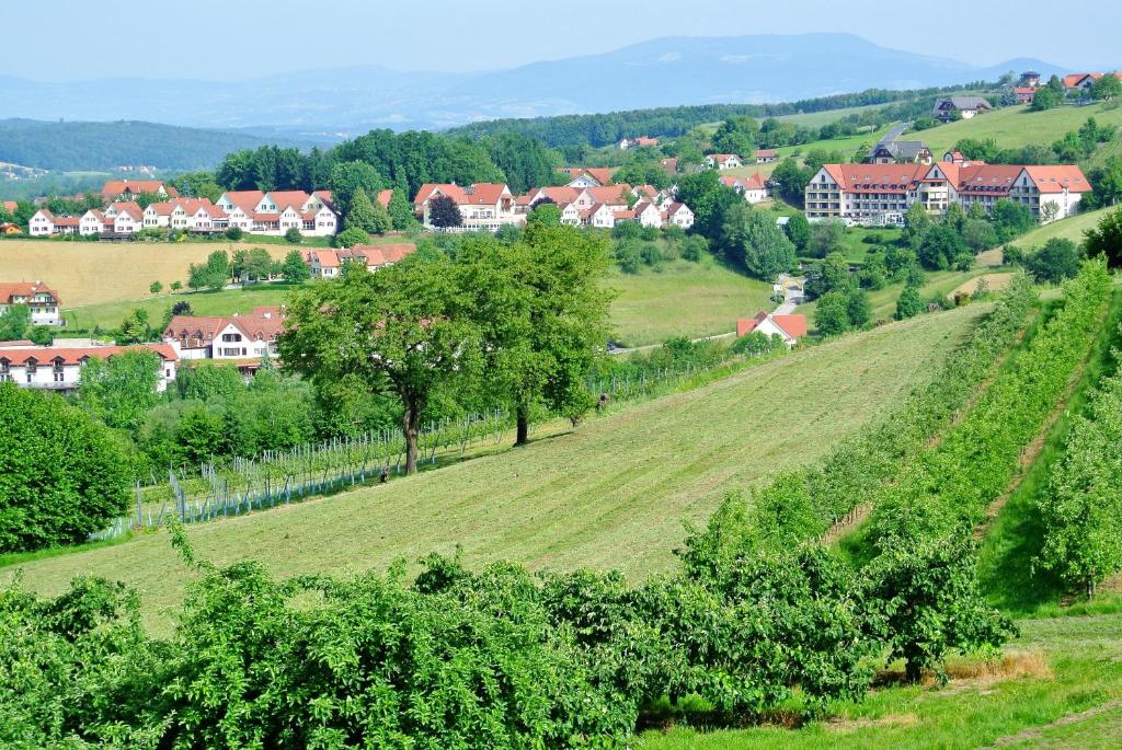 Příroda nedaleko prázdninového domu