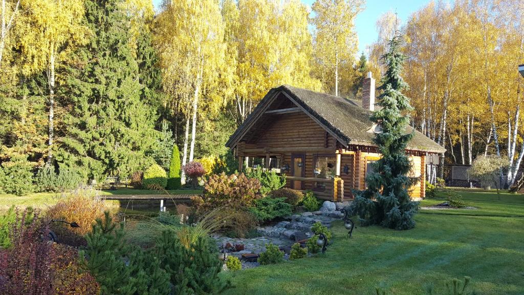 una cabaña de madera con un estanque en el patio en Sveciu namelis en Šiauliai