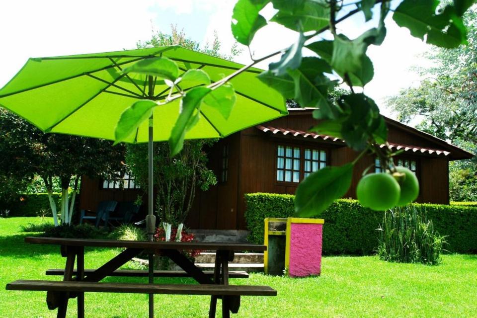 una mesa de picnic con una sombrilla verde frente a una casa en Cabanas la Chicharra en Xico