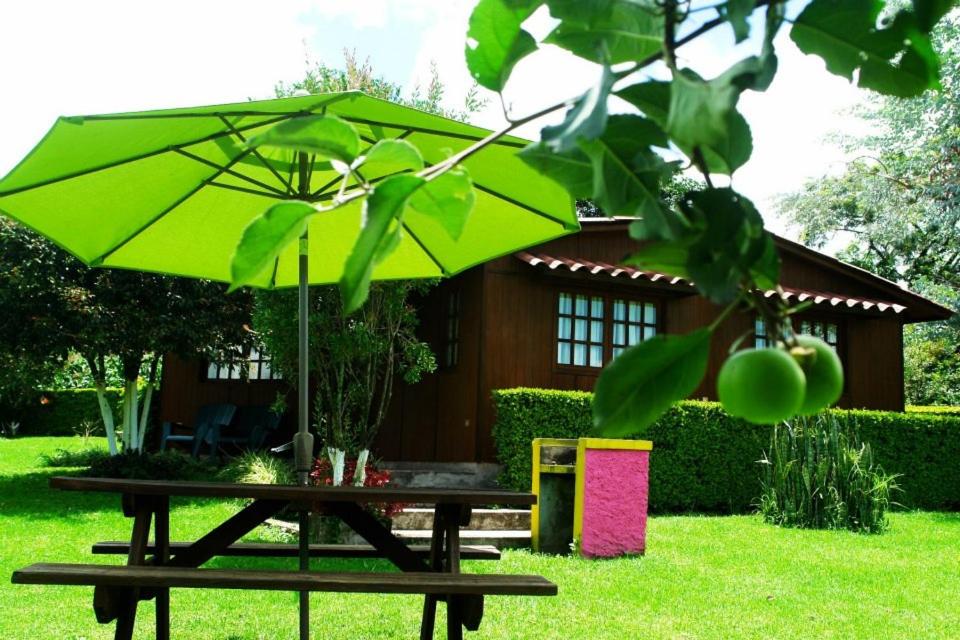 Сад в Cabanas la Chicharra