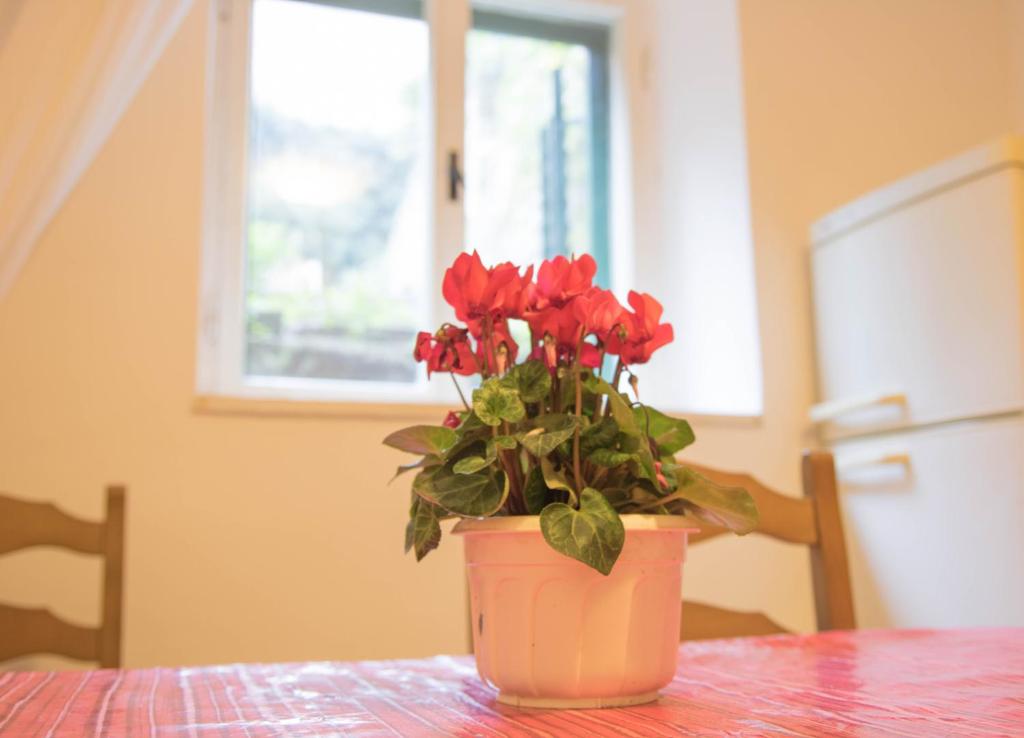 Fotografia z galérie ubytovania Apartman juričić v destinácii Labin