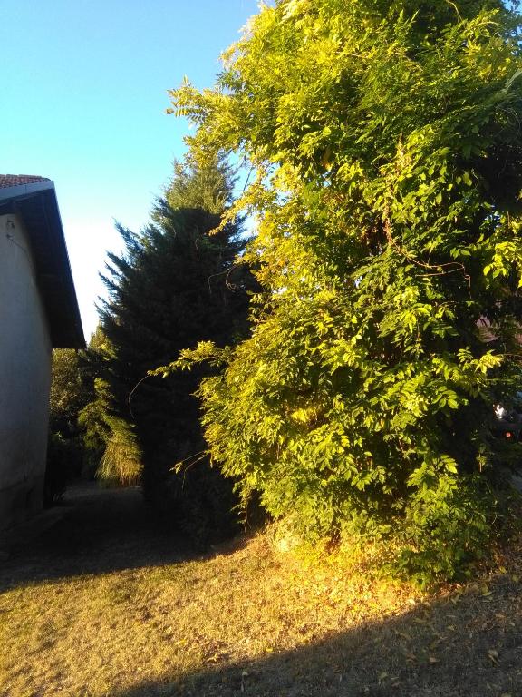 Zahrada ubytování I Quattro Gatti
