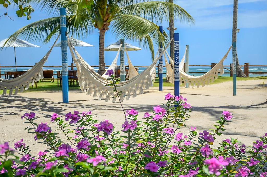 a row of hammocks on the beach with flowers at Villa dos Corais in Morro de São Paulo