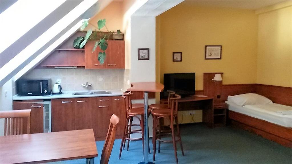 Kuchyň nebo kuchyňský kout v ubytování Hotel Praha