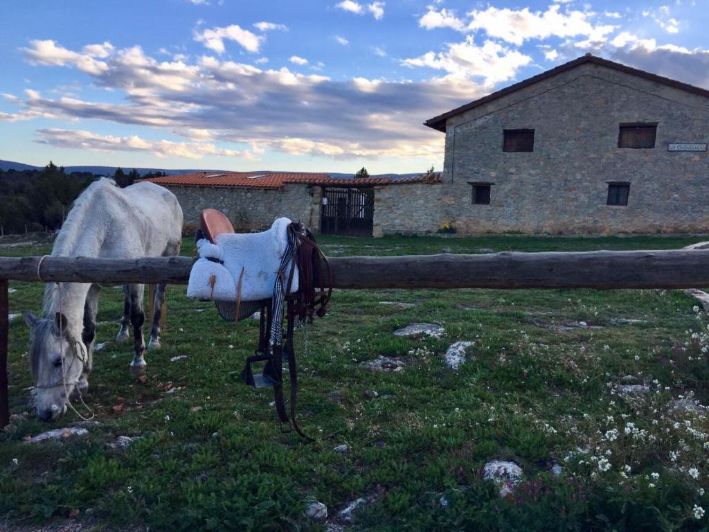 een wit paard dat gras eet naast een hek bij Masia La Casablanca in La Puebla de Valverde