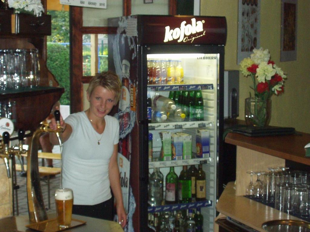 Lounge nebo bar v ubytování Penzion Areal Zamma
