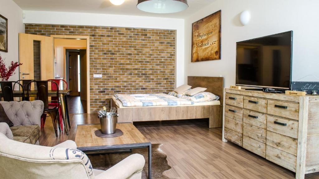 TV a/nebo společenská místnost v ubytování Apartment Říčky V Orlických Horách