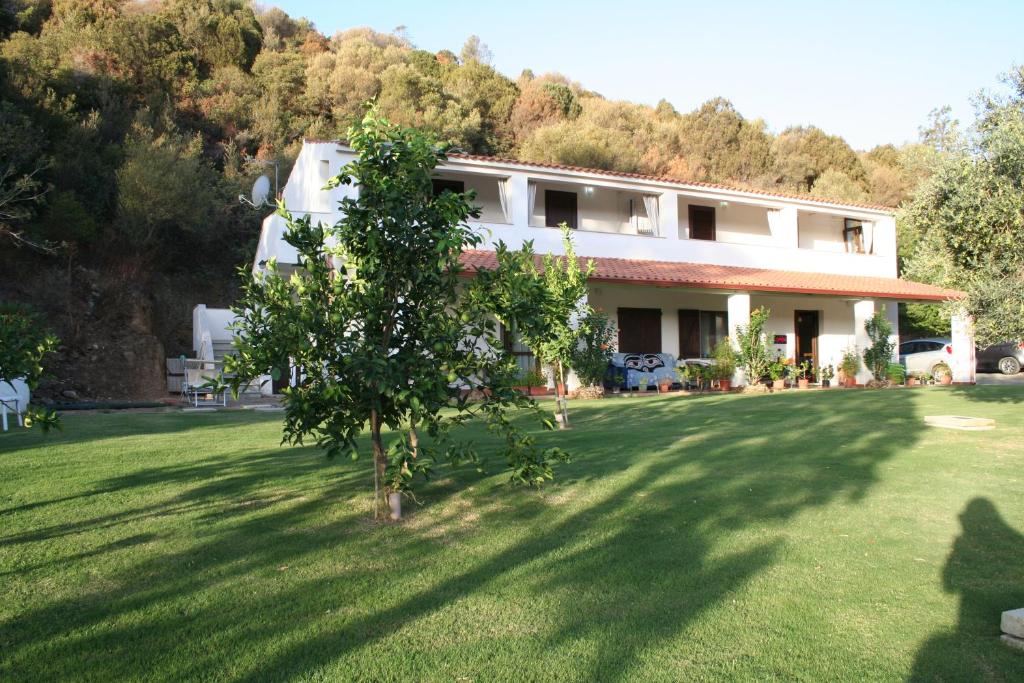 a house with a tree in front of a yard at Guesthouse Casavasco in Chia