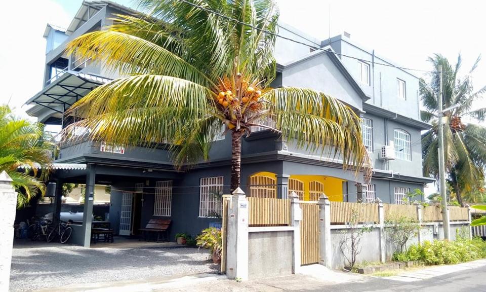 a palm tree in front of a building at Apartment Nashou in Grand Baie