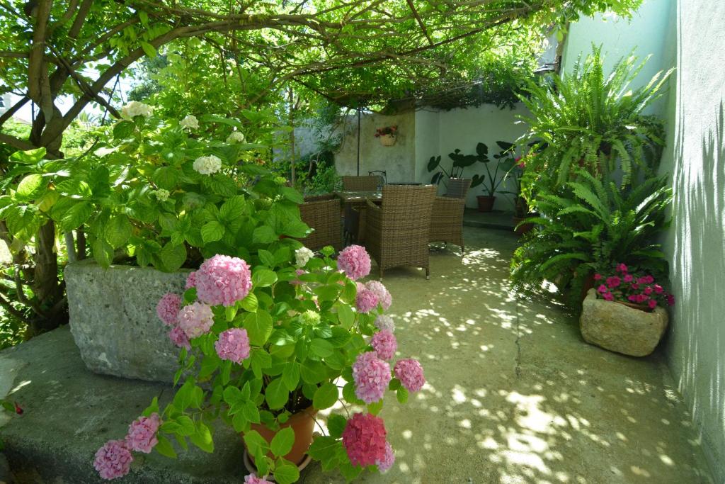 a garden with pink flowers in a yard at Apartment Renata in Veli Lošinj