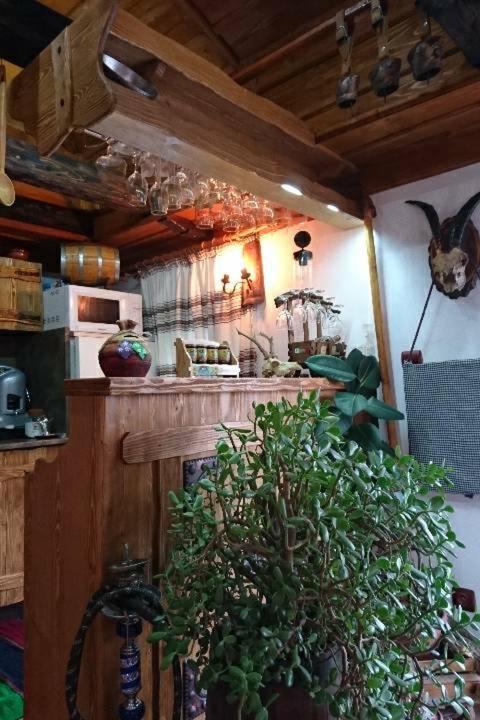 Kuchyň nebo kuchyňský kout v ubytování Guest Rooms Profirov