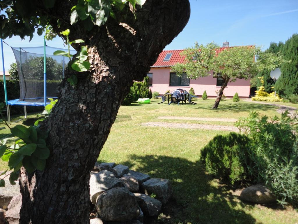 Zahrada ubytování Ferienhaus Krüger
