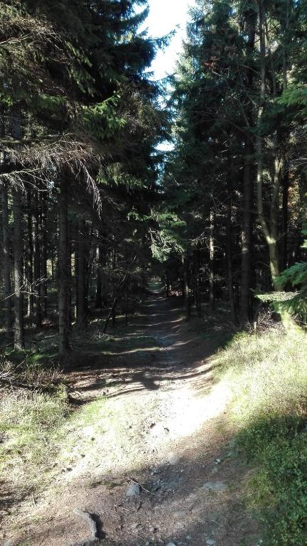 Fotografie z fotogalerie ubytování Penzion Liberta v destinaci Horní Maršov