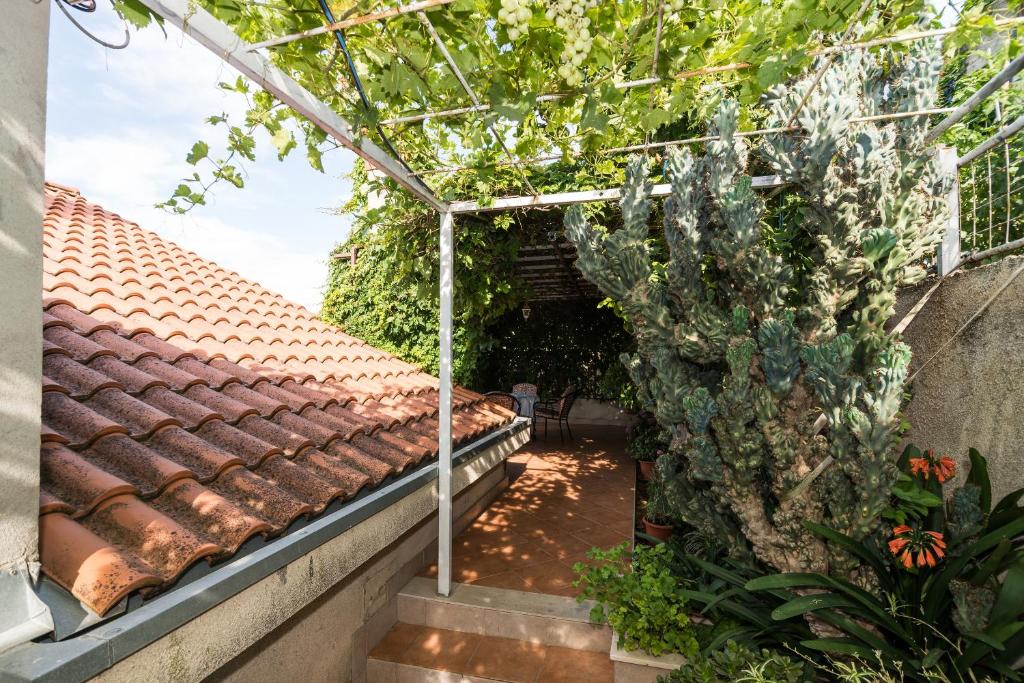 Vonkajšia záhrada v ubytovaní Apartment Srđ