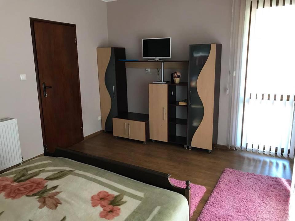 TV a/nebo společenská místnost v ubytování Guest Rooms Profirov