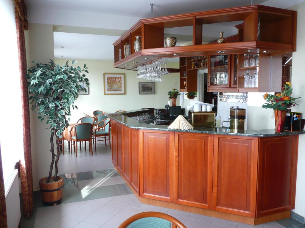 A kitchen or kitchenette at Hotel Ovit
