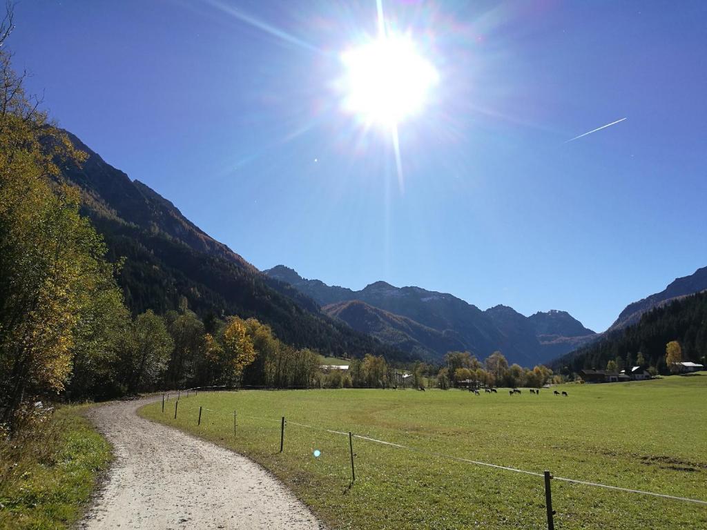un camino de tierra en un campo con el sol en el cielo en Ferienwohungen Wedl en Kleinarl