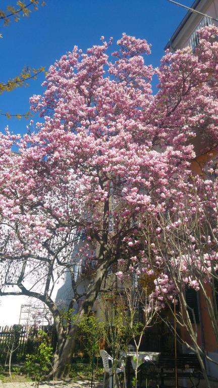 Haus Mobene - Hotel Garni