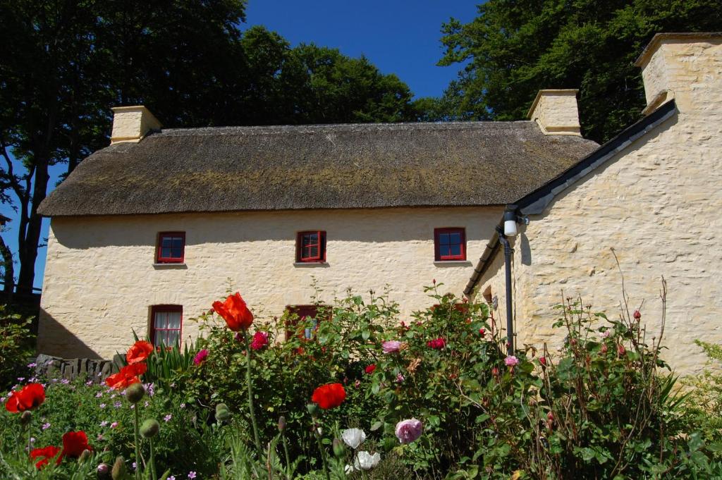 Treberfedd Farm Cottages and Cabins