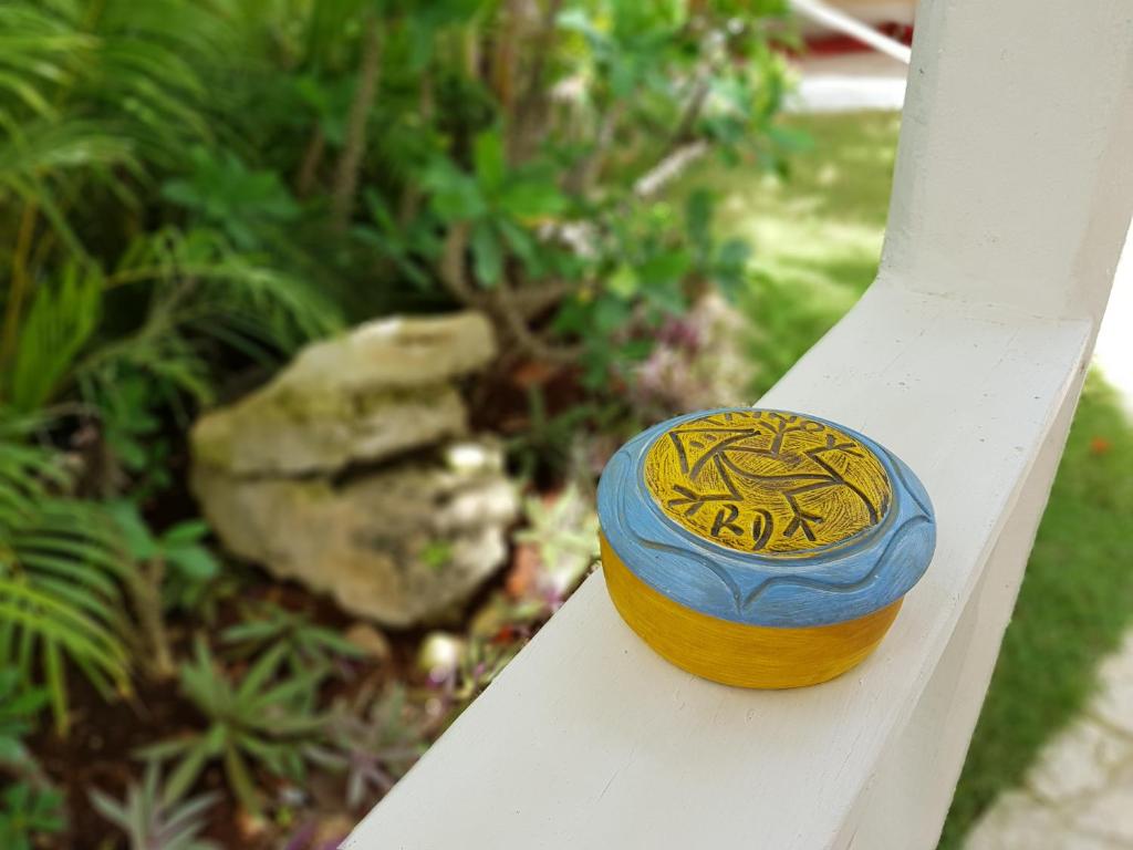 Zahrada ubytování Bayahibe Guest House Hotel