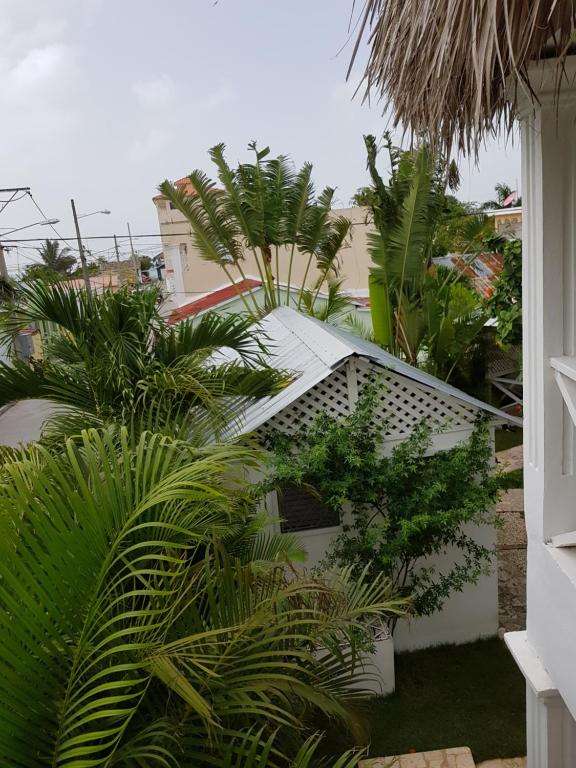 Zahrada ubytování Bayahibe Guest House Hotel