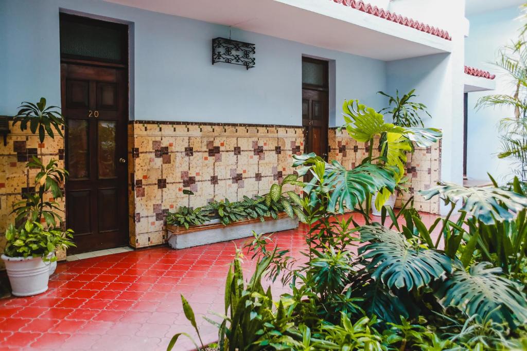 Zahrada ubytování Hotel Colon Merida