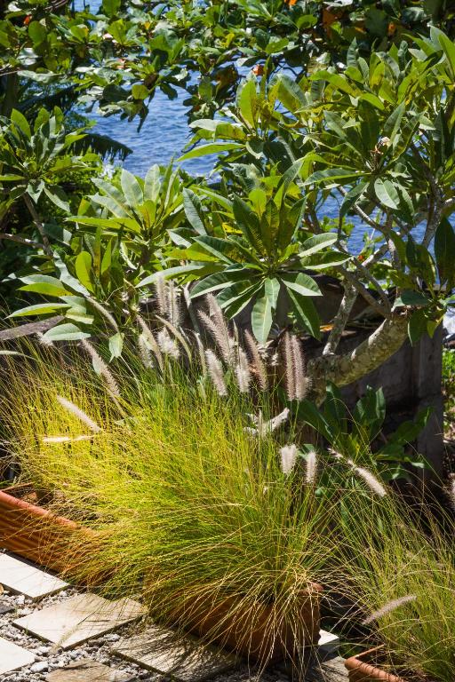 Aquamarine Beach Villas - 15