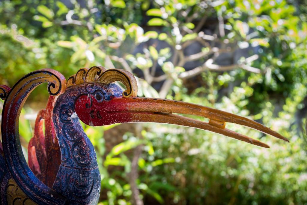 Aquamarine Beach Villas - 12