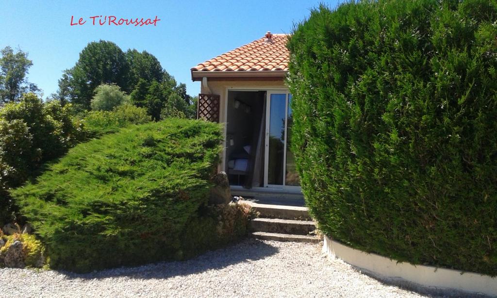 a house with two large hedges in front of it at Le ti'Roussat in Saint-André-de-Cubzac