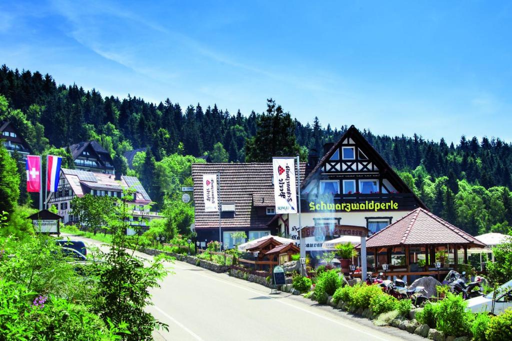 eine Stadt in den Bergen mit einer Straße in der Unterkunft Hotel-Berggasthof Schwarzwaldperle in Sasbachwalden
