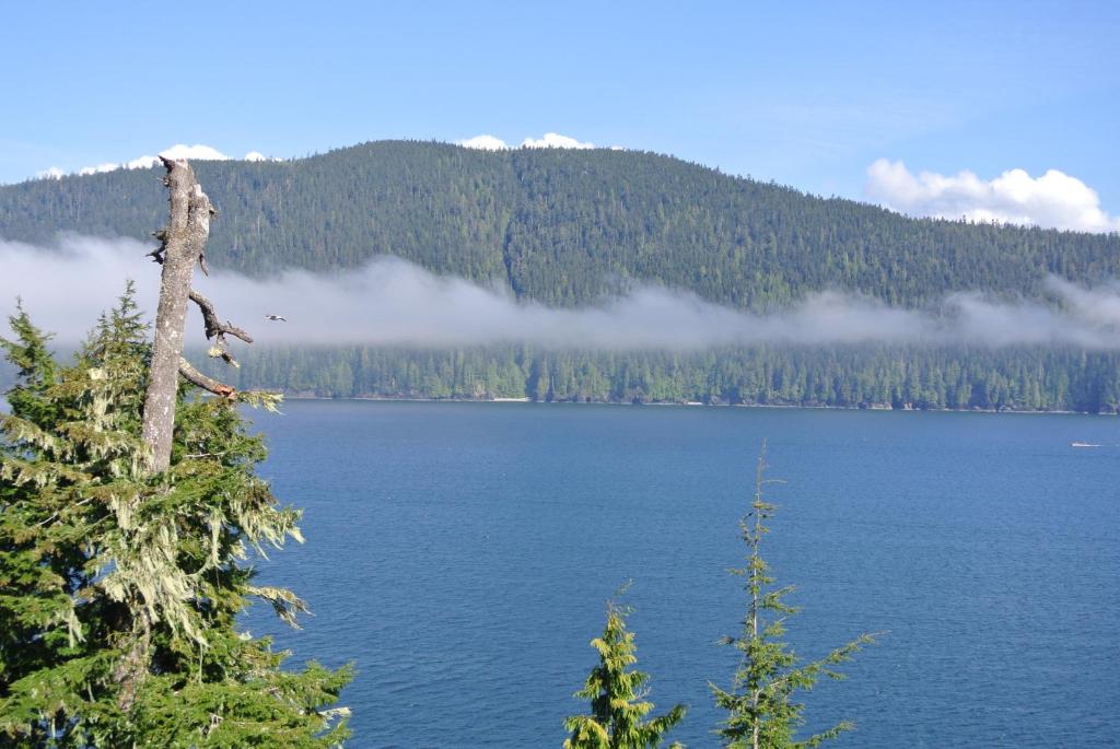 Blick auf einen Wasserkörper mit einem Berg in der Unterkunft Bjørn Holm in Port Renfrew