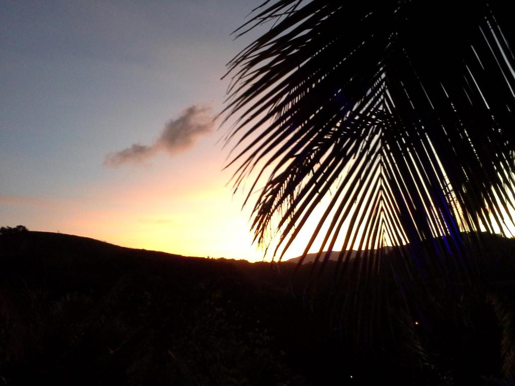  Suites Canto dos Passaros