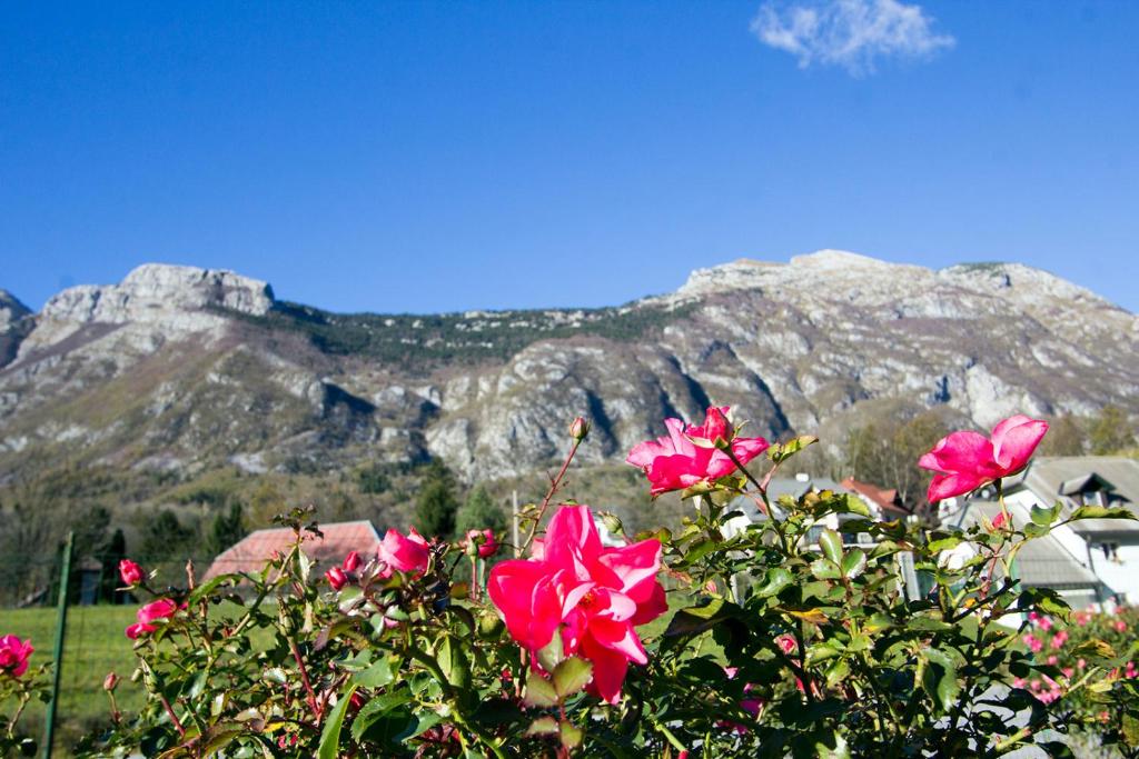 een bos met roze bloemen voor een berg bij Apartment Mavrica in Bovec