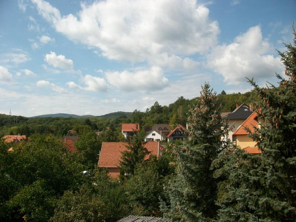 Příroda nedaleko penzionu