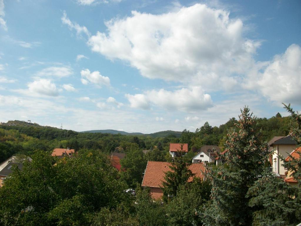 Příroda nedaleko penzionu