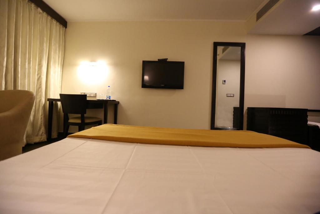 TV a/nebo společenská místnost v ubytování Hotel La Castle