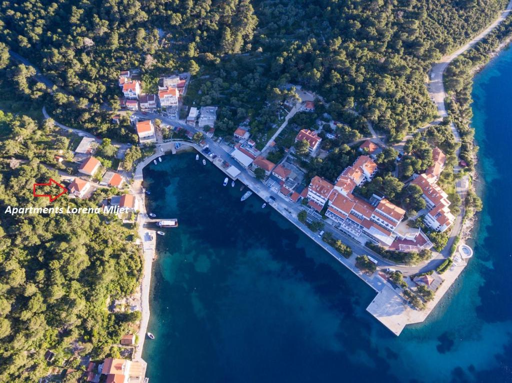 an aerial view of a small island in the water at Apartments Lorena Mljet in Pomena