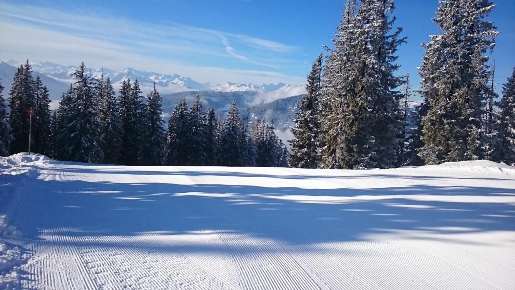 Appartmenthaus Hochkönig v zimě