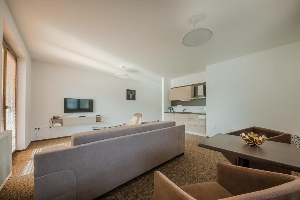 TV a/nebo společenská místnost v ubytování Village Resort Hanuliak Apartmany