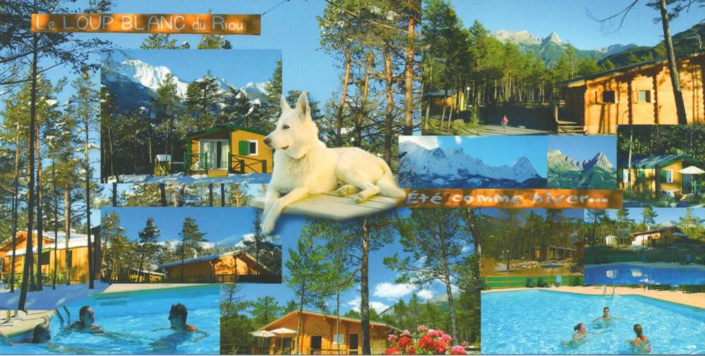 een collage van foto's van een resort met een hond in een zwembad bij Parc Résidentiel de Loisir : Le Loup Blanc du Riou in Barcelonnette