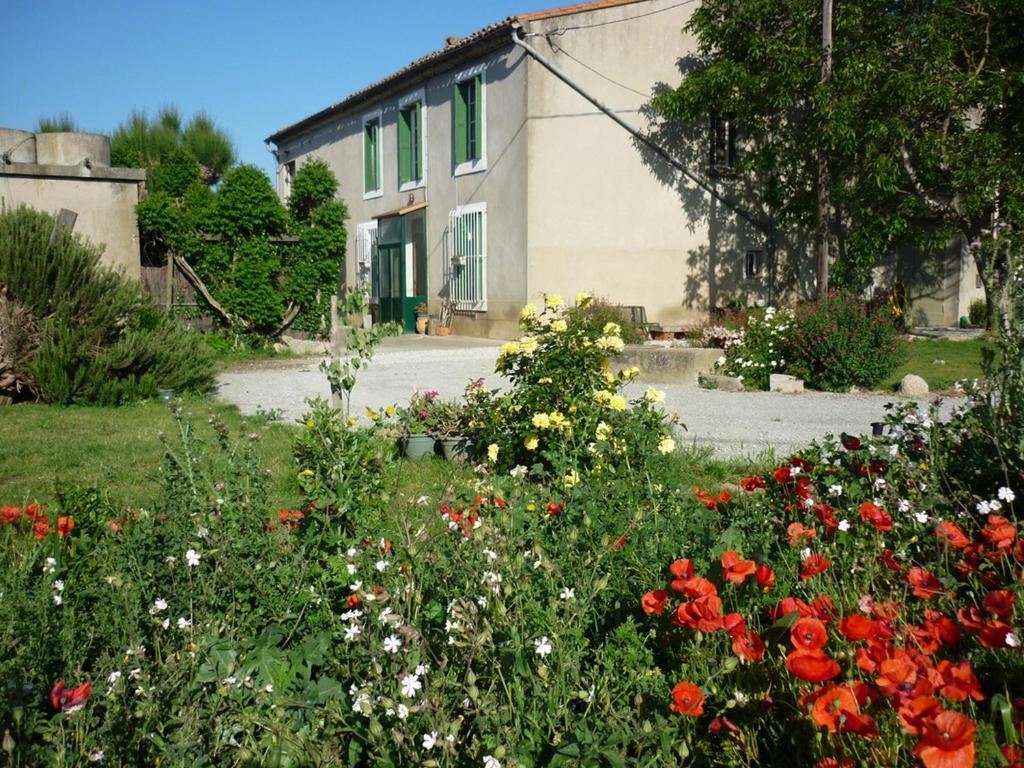 a garden with flowers in front of a house at Virevent in Carcassonne