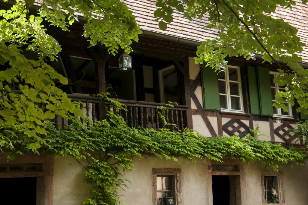 Balkón nebo terasa v ubytování Unter der Linde