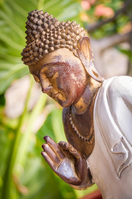 Aquamarine Beach Villas - 13