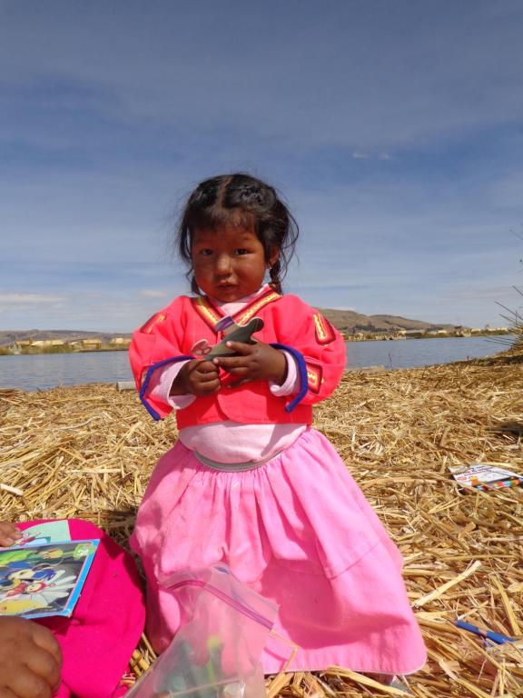 Hosté ubytování Uros Titicaca Lodge