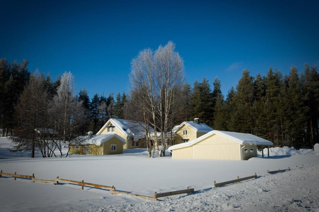 un cortile coperto da neve con due edifici e alberi di Hogbacka Lodge ad Älvsbyn