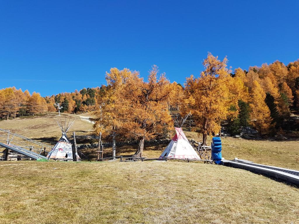 Επισκέπτες που μένουν στο Chalet Schneevogul