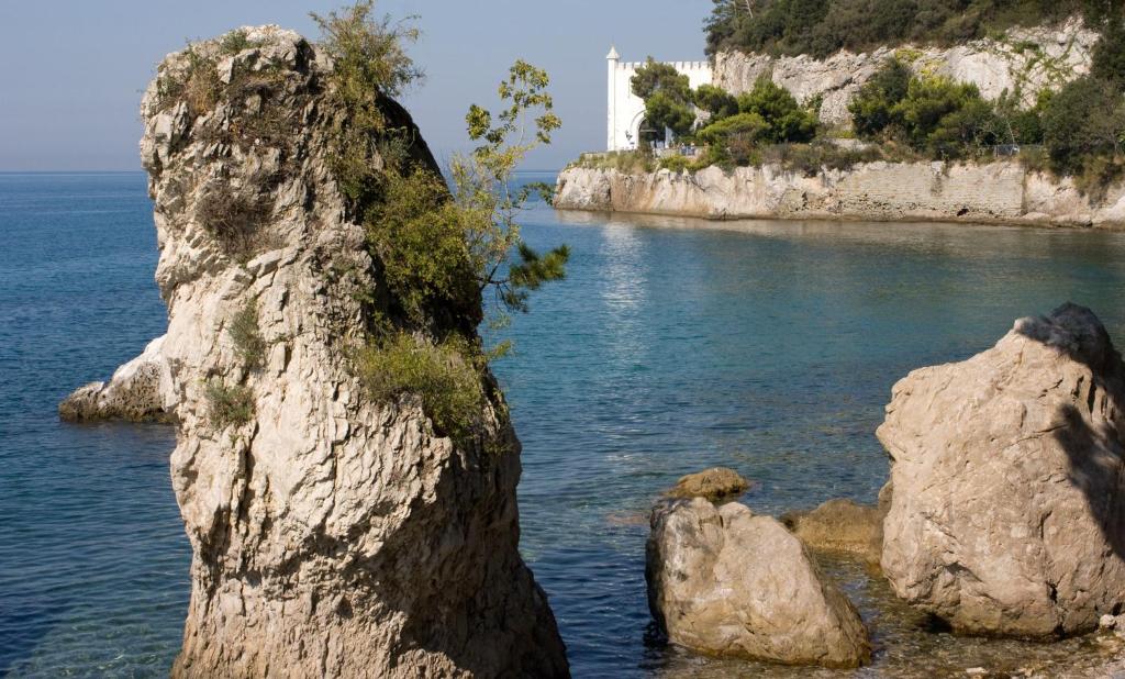 a large rock in the water next to the ocean at Hotel Tritone in Trieste