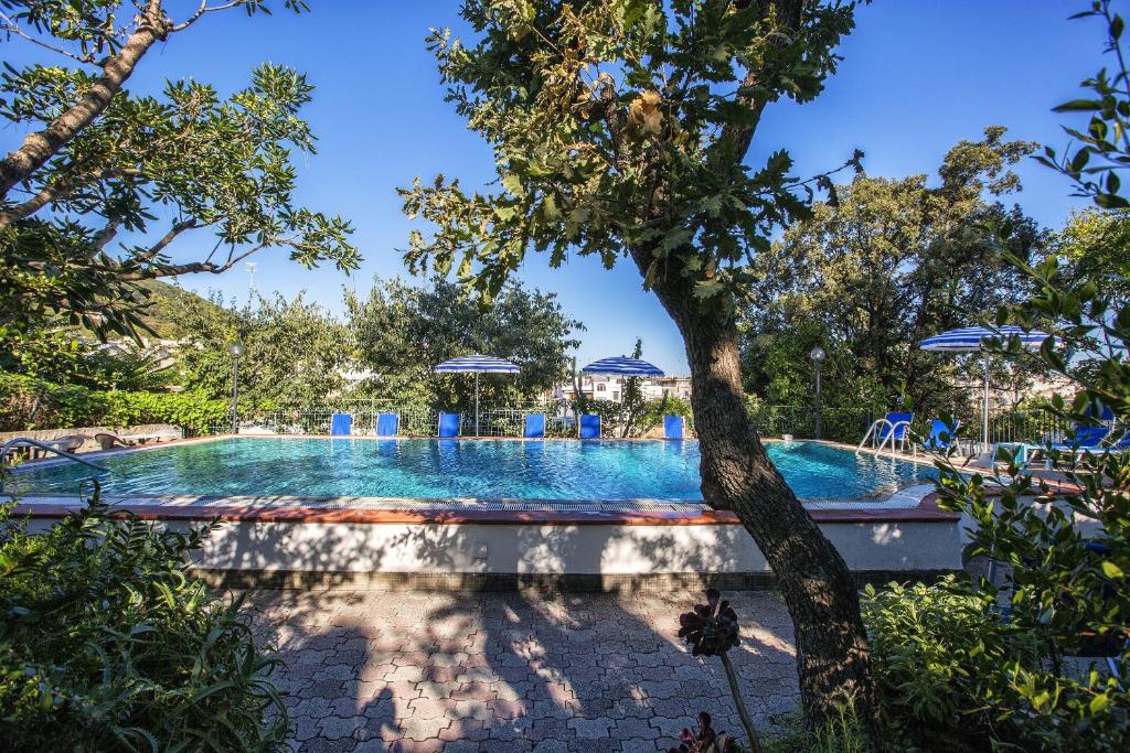 La alberca dentro o cerca de Hotel Vittoria