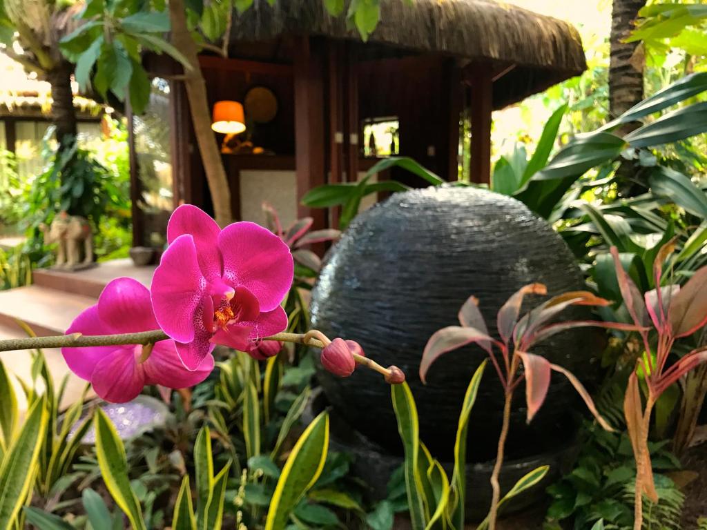  Paua Hotel Boutique